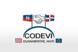 CODEVI Logo