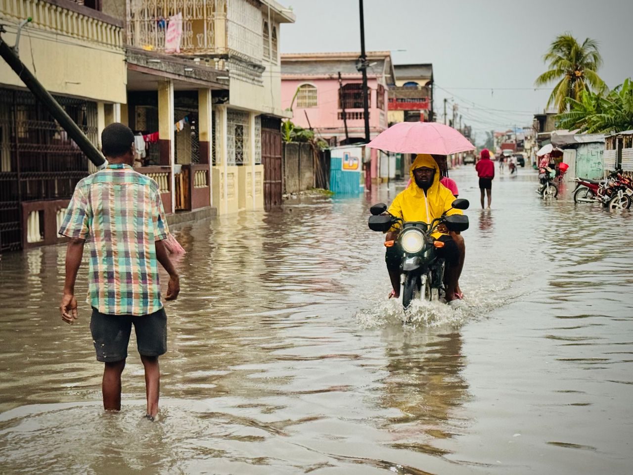 @raypakle / @kolektif2d