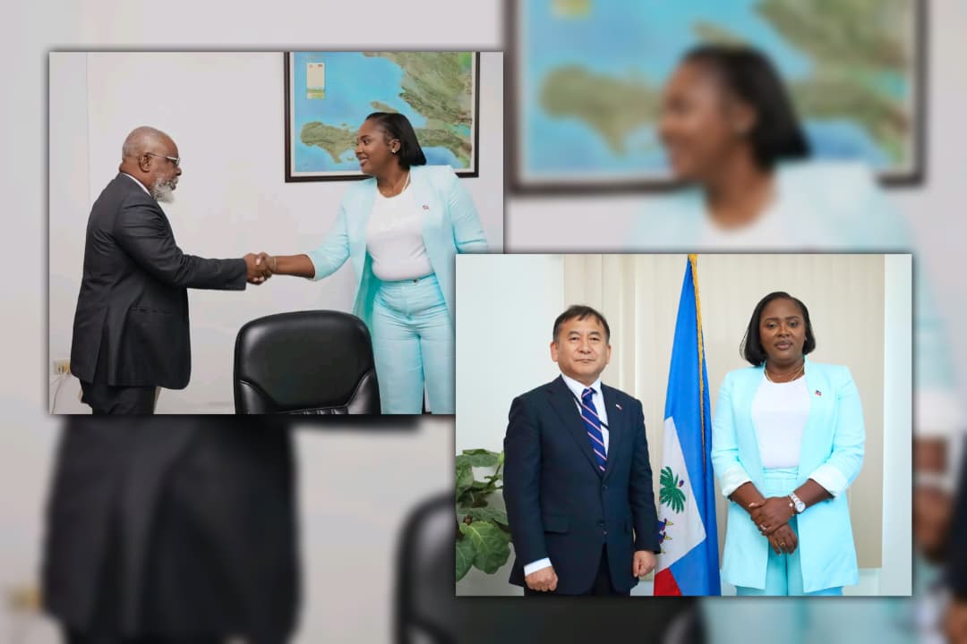 Renforcement du CTPEA et coopération avec le Japon