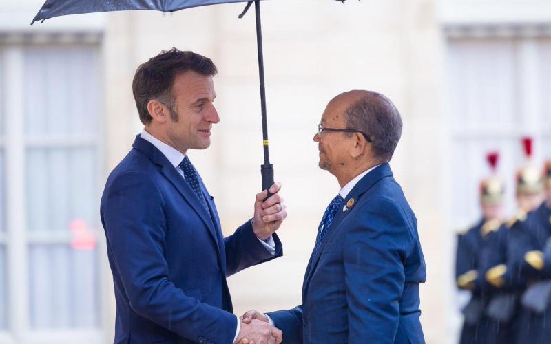 Les présidents Marcron et Voltaire 
