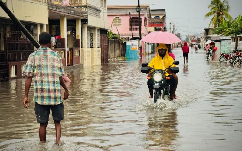 @raypakle / @kolektif2d