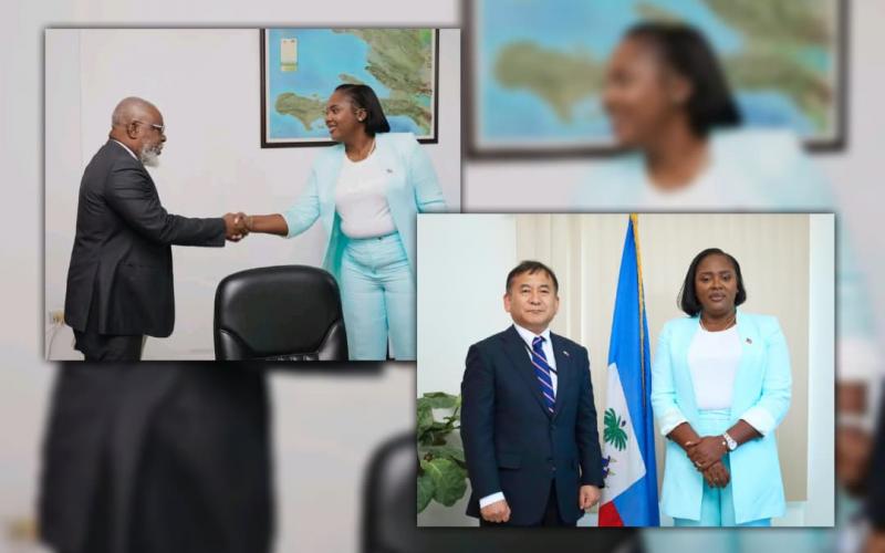 Renforcement du CTPEA et coopération avec le Japon