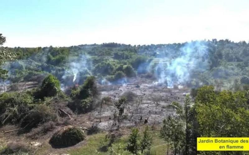 Incendie au Jardin botanique des Cayes