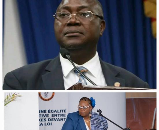 la Chambre de commerce et de l'industrie haïtiano-africaine (CCHA)